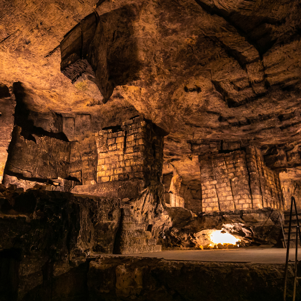 Het gangenstelsel onder de Cauberg is een thuis voor een aantal vaste bewoners